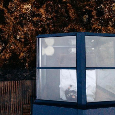 Tiny Glass Lodge Experience The Nature Selfoss Kültér fotó
